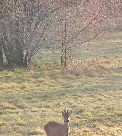De Jambayle Сasa de vacaciones